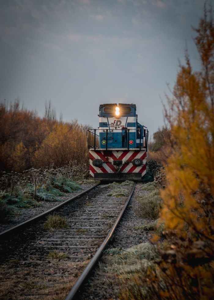 portfolio-05 A freight train approaches on rustic tracks surrounded by autumn foliage in Buenos Aires, Argentina.